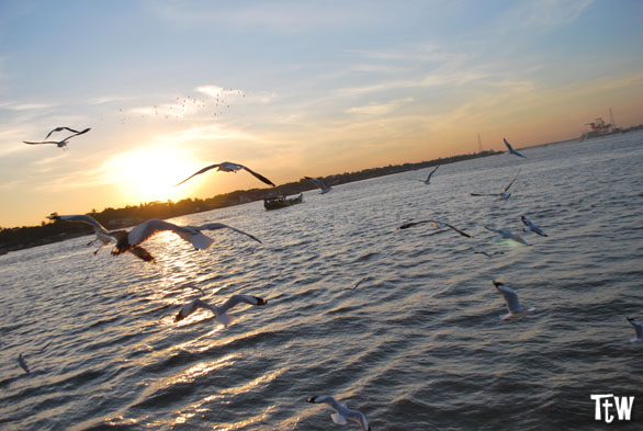 Yangon River