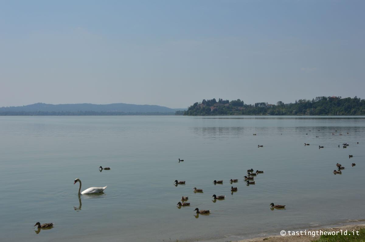 Cosa vedere sul Lago di Varese