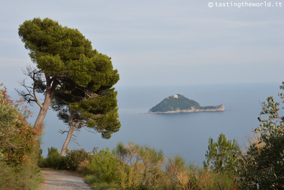 Via Julia Augusta Alassio-Albenga