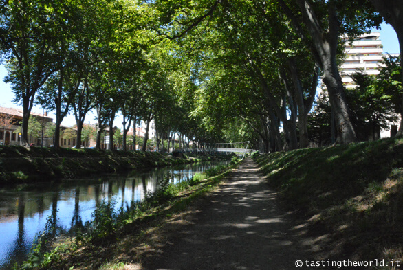 Canal de Brienne, Tolosa