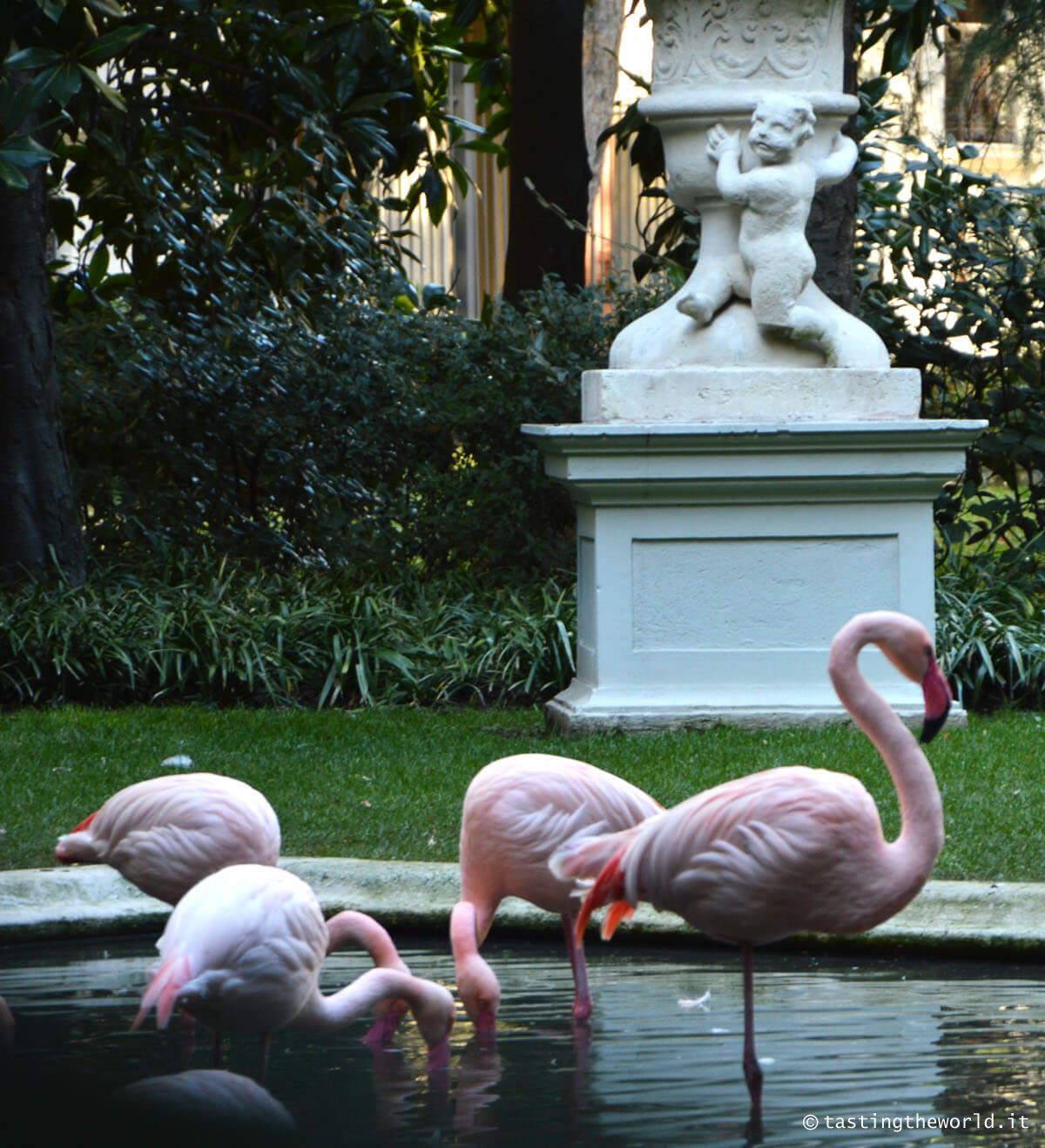 Fenicotteri rosa a Milano, Villa Invernizzi