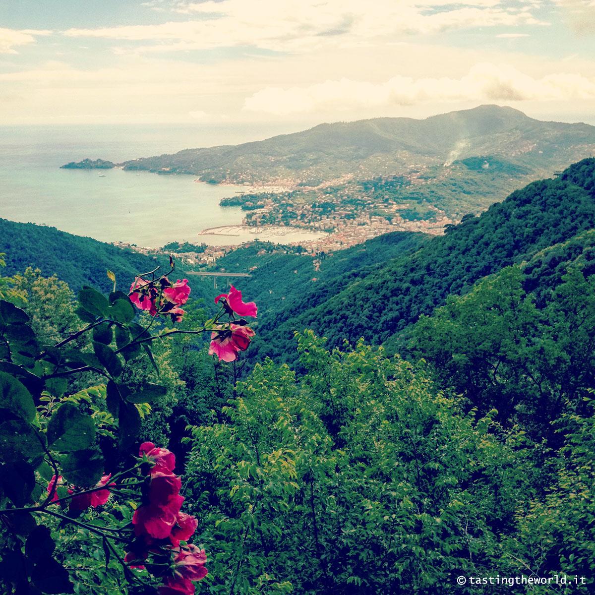 Vista su Rapallo, Santa Margherita Ligure e il monte di Portofino da Montallegro