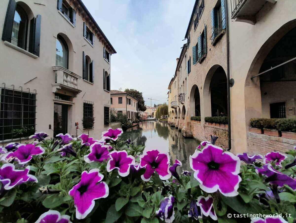 Canale dei Buranelli - Treviso