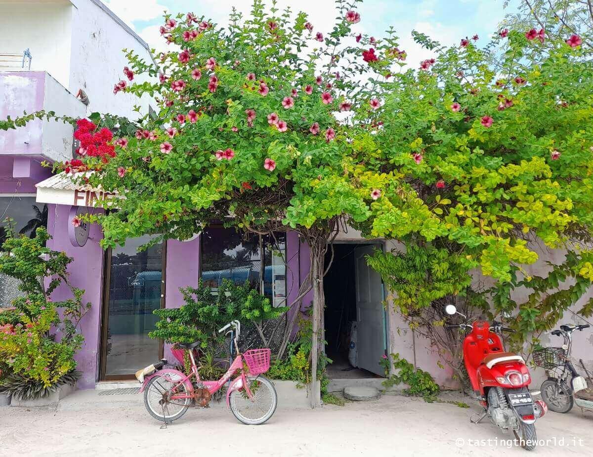 Maafushi, Maldive